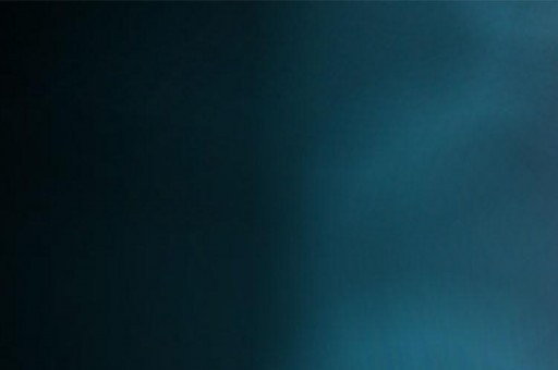 世界上毒性最強的十大水母 澳洲方水母毒性最強