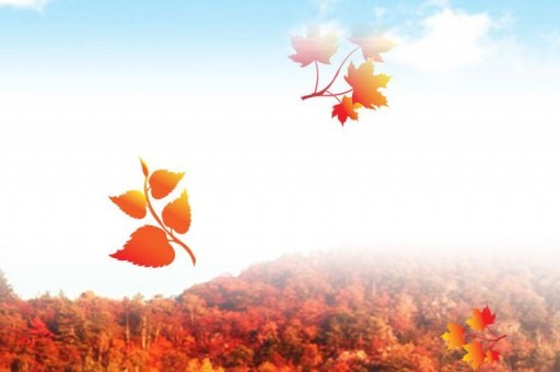 南京十大網(wǎng)紅景點(diǎn)2025年排行榜前十名榜單出爐 南京十大網(wǎng)紅景點(diǎn)2025年排行榜前十名榜單出爐