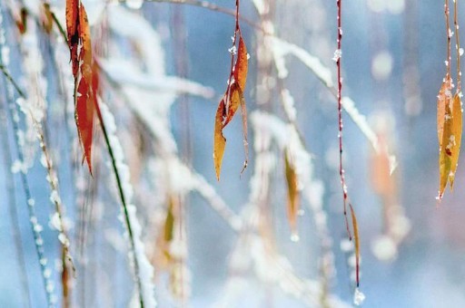 俄羅斯十大標志性建筑2025年排行榜前十名榜單出爐 俄羅斯十大標志性建筑2025年排行榜前十名榜單出爐