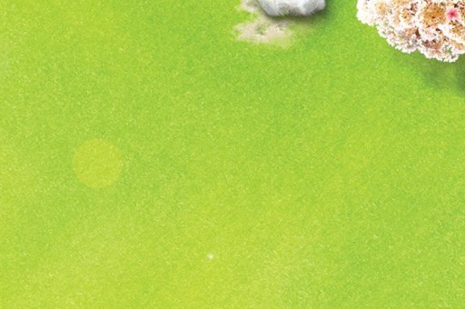 曾經在我眼前卻又消失不見是哪首歌的歌詞 你有聽過嗎