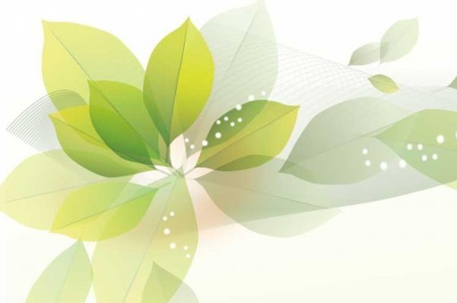 2021年11月五菱銷量排行榜2023最新排名前十名對比