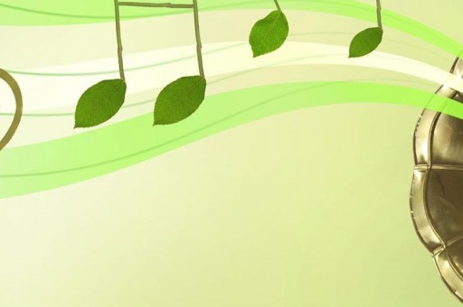 路口網(wǎng)站白色標(biāo)線(xiàn)什么意思 圈內(nèi)白色橫實(shí)線(xiàn)是什么標(biāo)線(xiàn)