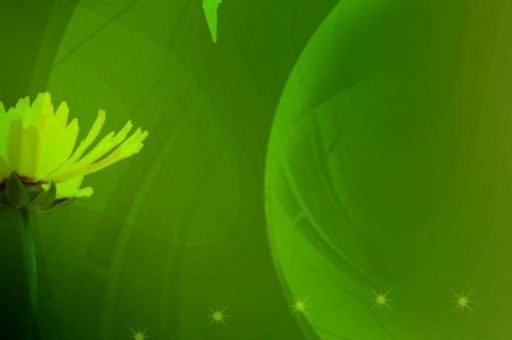 互聯(lián)網(wǎng)金融龍頭股排行榜2023最新排名前十名對(duì)比