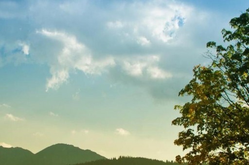 王占山個(gè)人簡介 王占山的個(gè)人簡介 王占山個(gè)人簡介 王占山的個(gè)人簡介