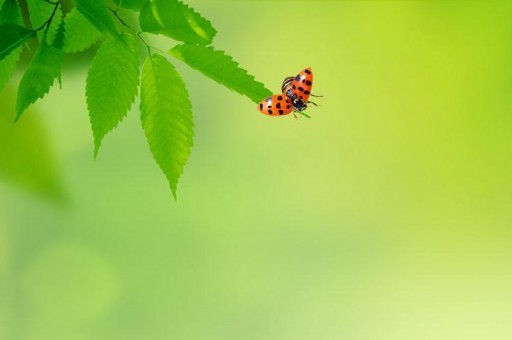 杭州新疆菜館排行榜2023最新排名前十名對比