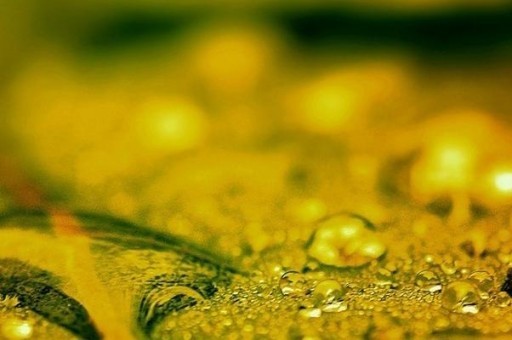 衛生巾十大品牌排行榜2023最新排名前十名對比