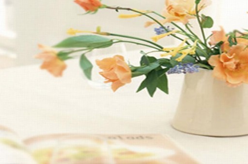 世界最長的山脈是什么：安第斯山脈長達8900千米