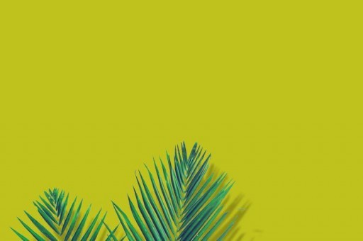 山開頭的成語 盤點山開頭的成語 山開頭的成語 盤點山開頭的成語