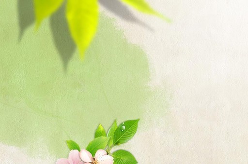 世界最大單口徑射電望遠(yuǎn)鏡：中國(guó)天眼