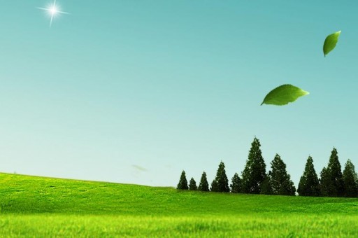 世界上最令人感到害羞的花朵：紅門蘭“裸男花”