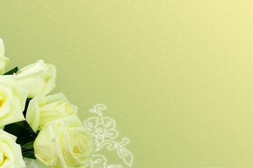 梅花代表什么生肖 梅花代表的生肖是什么