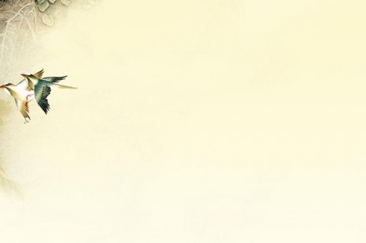 淘寶運(yùn)費(fèi)險(xiǎn)怎么用 教你如何正確使用