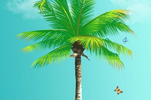 福特福克斯左大燈為什么老是壞 福克斯大燈價格表（福特福克斯右小燈不亮怎么回事）