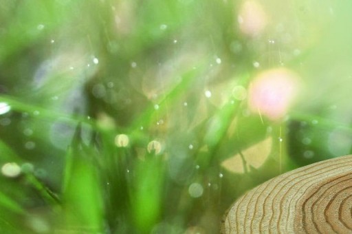 清西陵簡介 清西陵什么時(shí)候被列為世界遺產(chǎn)