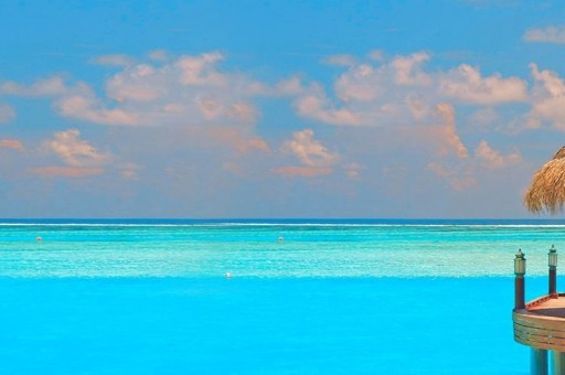 世界上最大的鯉魚，泰國大鯉魚重達226斤