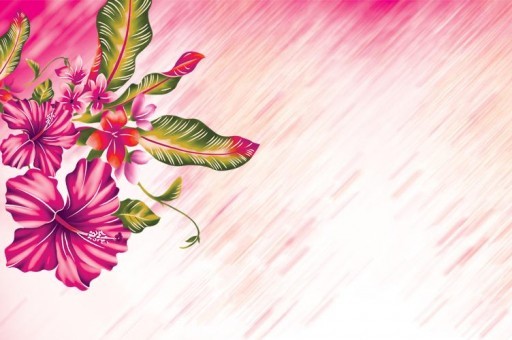 世界上最可愛的鼠類：倉鼠外形漂亮性格溫和