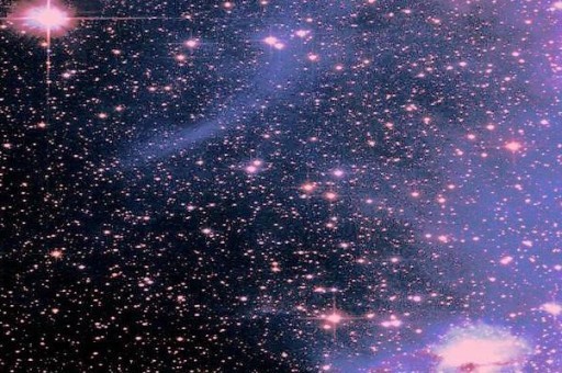 世界“最神秘”的部落：科羅威人居住在樹上，以狩獵為生