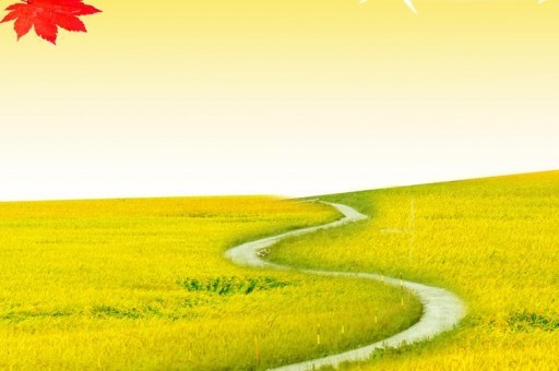 世界上最丑的狐貍：藏狐智商低下，長相奇葩逗比