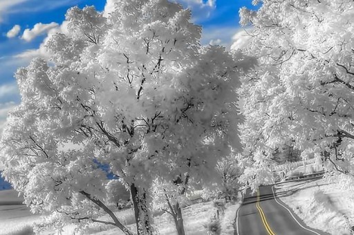 電視劇沂蒙的演員表 都有哪些演員