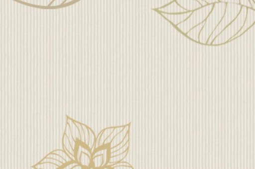 蹺蹺板和翹翹板的區(qū)別 蹺蹺板和翹翹板的區(qū)別是什么