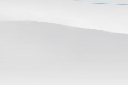 體型最大的十大昆蟲2023最新排名前十名對比