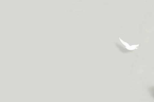 世界上最大的鴿：鳳冠鳩體長超過70厘米