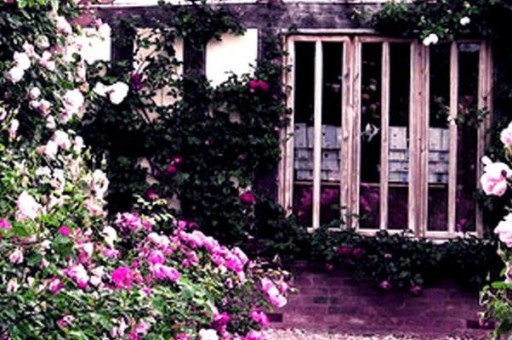 說明方法都有哪些 說明方法包括什么 說明方法都有哪些 說明方法包括什么