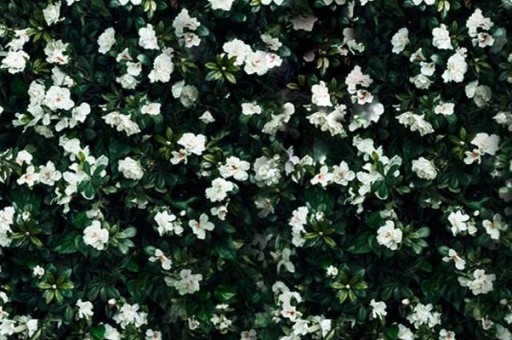 標致備胎和常用胎有什么區別 備胎好嗎（汽車備胎是標配嗎）