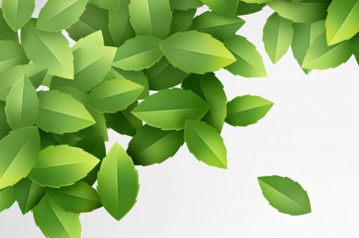 茶枯粉是什么東西呢 茶枯粉的作用有哪些