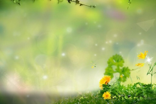 淋浴花灑什么牌子好?花灑十大品牌排行榜2023最新排名前十名對比