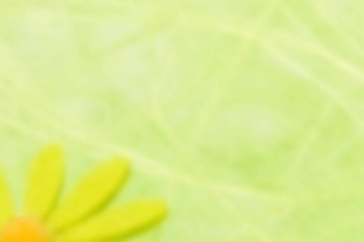 世界上最富有的十大拳擊手，誰是最有錢的拳擊