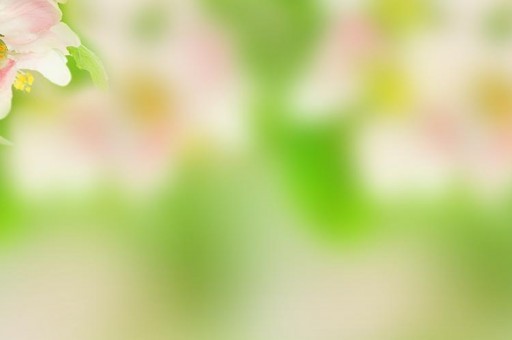 世界十大板鞋品牌排行：李寧上榜，安踏第三