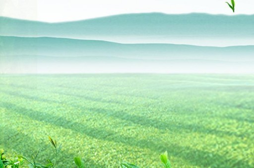 獨在異鄉為異客中的異鄉和異客的異字各是什么意思 獨在異鄉為異客中的異字理解