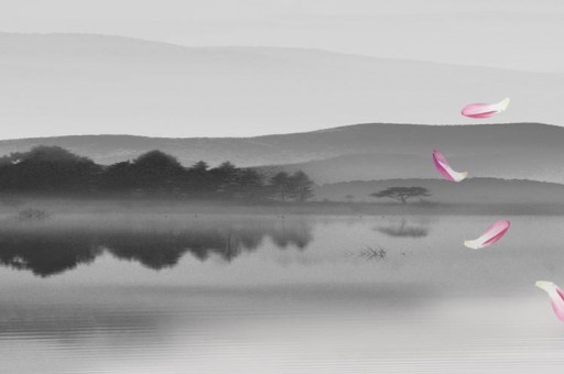 rsp是什么意思 rsp的解釋