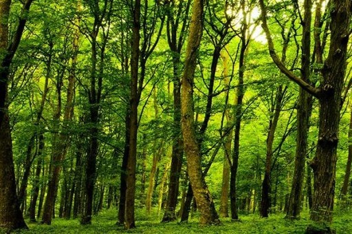 中國白酒排行榜前50名2023最新排名前十名對比