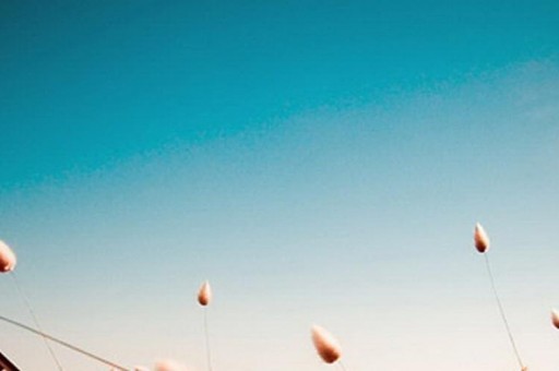 世界公認(rèn)的十大軍事家：第二位戰(zhàn)無(wú)不勝