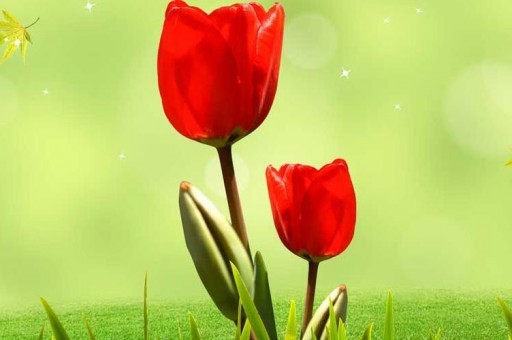 全球發展最快的十大城市:北海排名第三第一名是阿富汗城市2023最新排名前十名對比