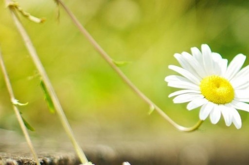 豐田塞納2018款選擇什么配置 豐田亞洲龍